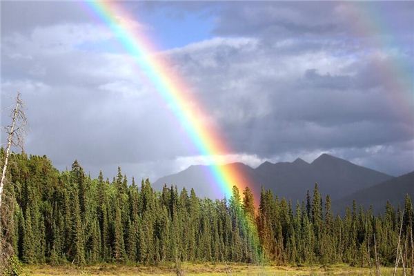 梦见彩虹挂在山上