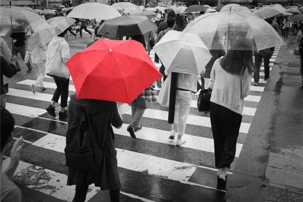 梦见下雨天撑红伞