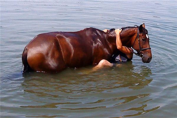梦见马在水中