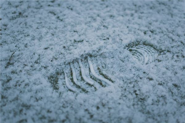 梦见雪上的脚印