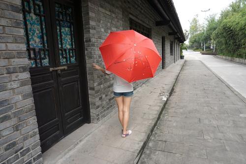 梦见下雨打红伞