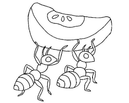 梦见蚂蚁搬食物