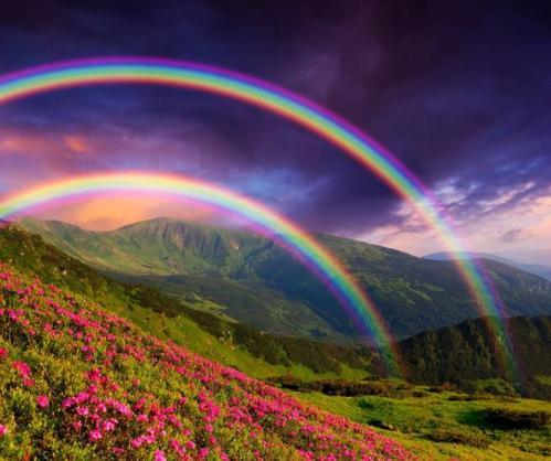梦见两条彩虹