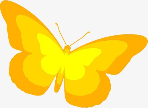 梦见黄色蝴蝶