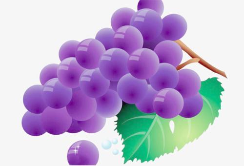 梦见吃紫色的葡萄