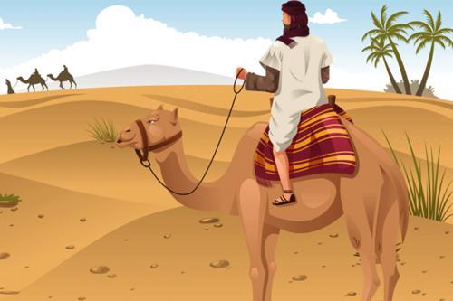 梦见骆驼吃东西