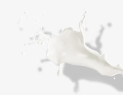 梦见牛奶洒了