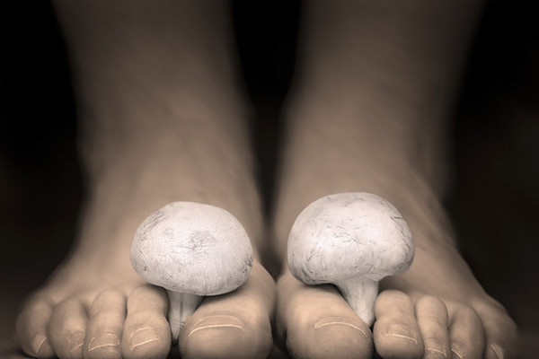 梦见脚趾甲长蘑菇